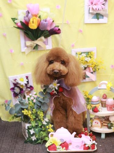 20230318ココアちゃん